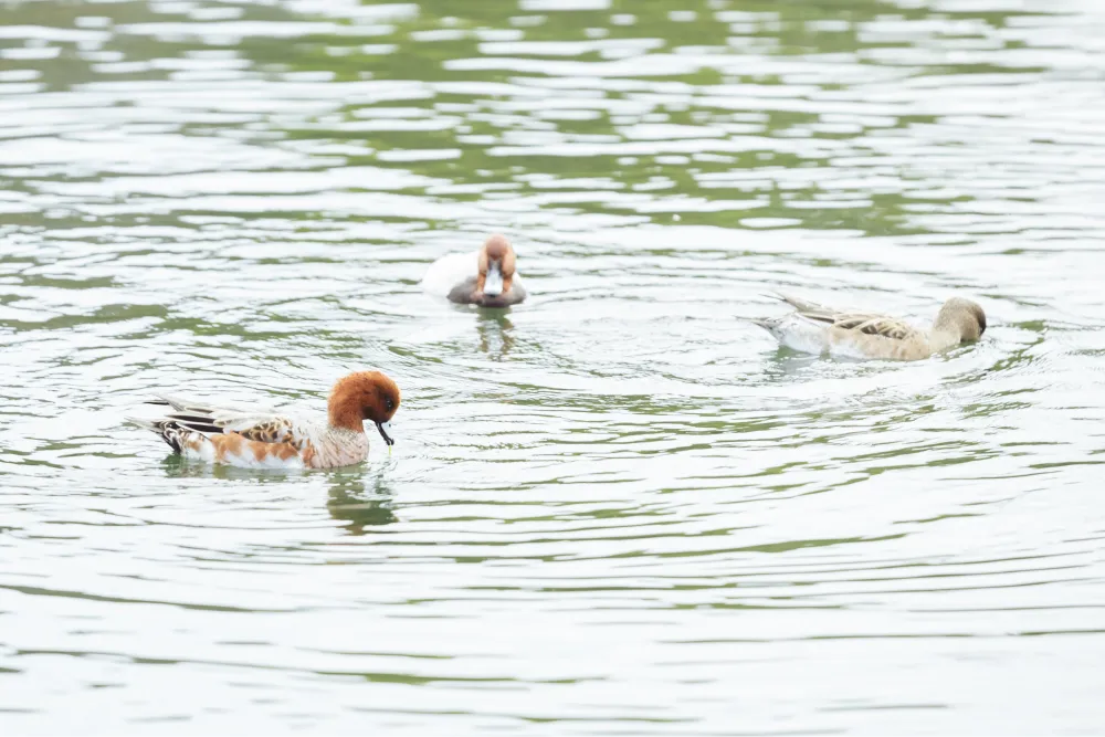 それぞれが違う“お気に入り”を持つ街