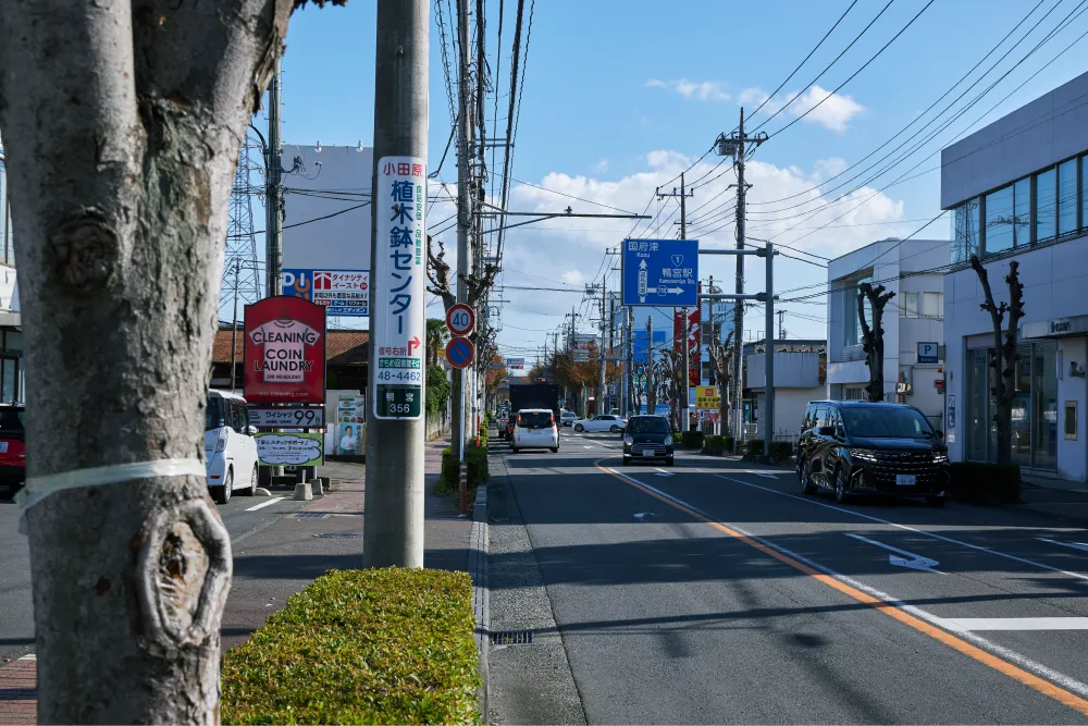 巡礼街道沿いには数多くの有名飲食チェーン店や大型家電量販店が立ち並ぶ