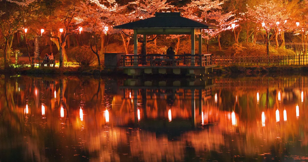 東京ドーム約4.5個分！ 400年続く高岡古城公園はふるさと納税でどう変わる？