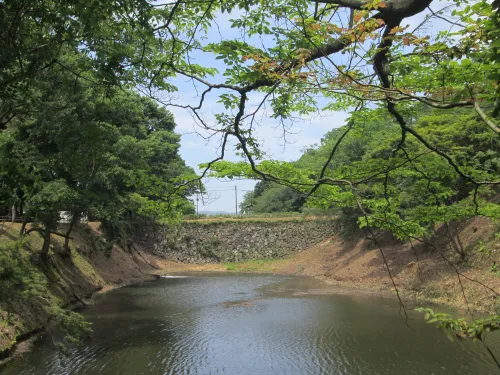 博物館側から石垣を望んだ景観のビフォーアフター（画像提供：高岡市）