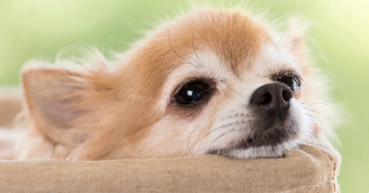 大東建託のやばい〇〇記事一覧