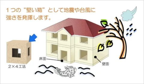 モノコック構造のイメージ図