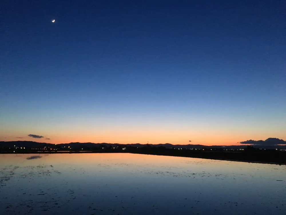 田植え前の数日間、田んぼに水をはったときだけ見ることができる水鏡