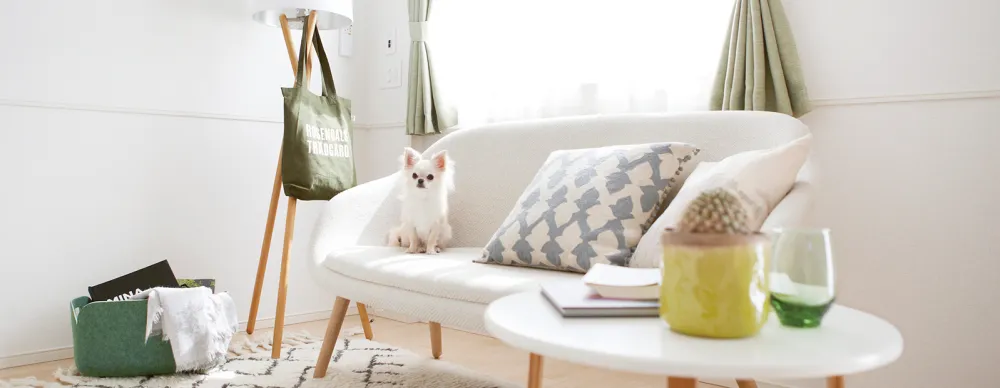 わんRoom/にゃんRoom:ペット可の賃貸で犬・猫が喜ぶ家づくり7つの秘訣