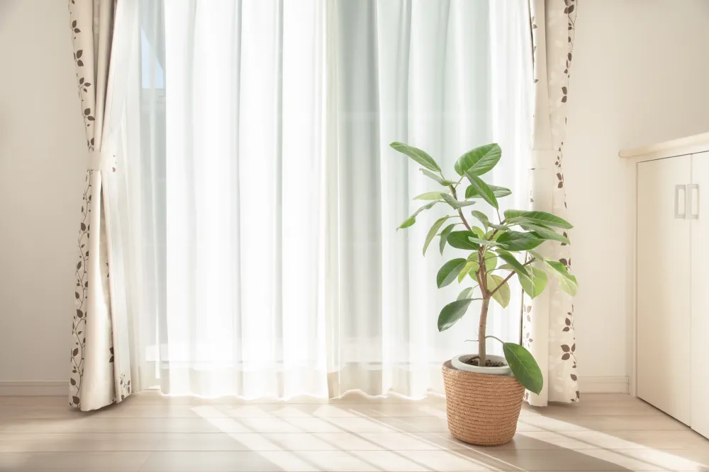 方法02：観葉植物を置く