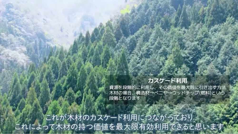 海外からの輸入チップには頼らず、国産材に絞って取り扱いをしている