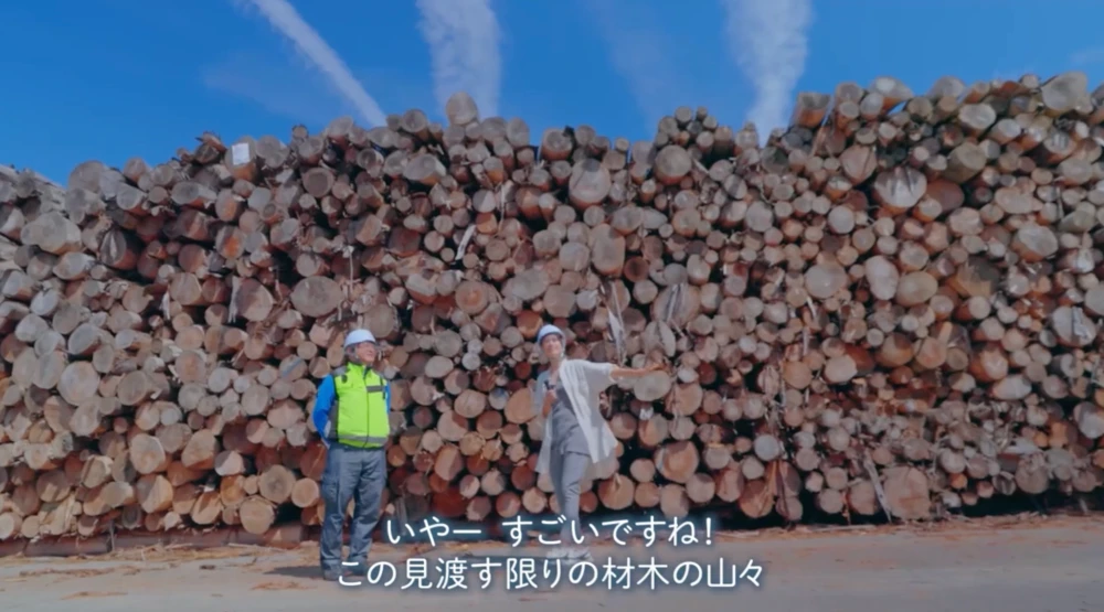 森林未利用材（丸太）が電気に変わるまで。発電所の全工程を見学