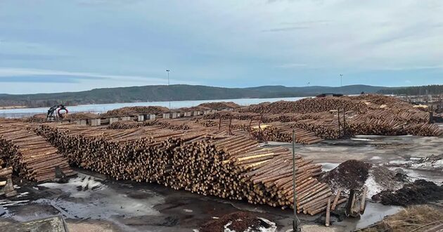 輸入資材の高騰がやばい!? カナダから届ける、木材調達のリアル