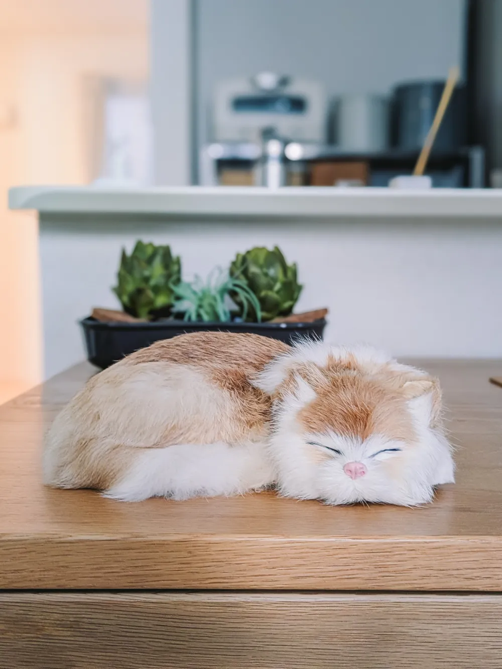 順光で撮った写真