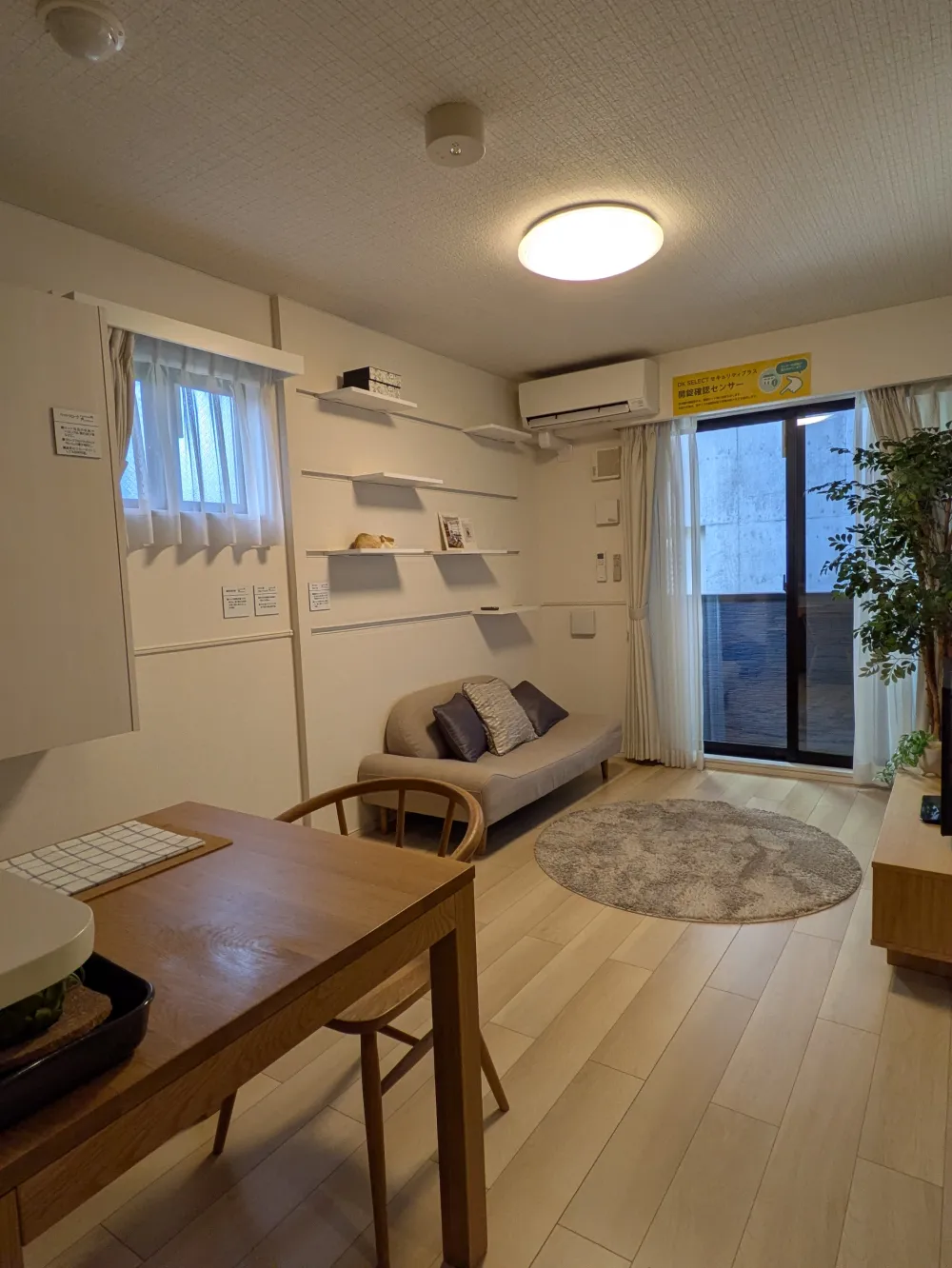 部屋の照明を使って撮影